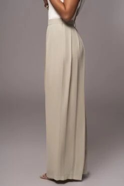 Sage Josette Wide-Leg Pleated Pants -Jluxlabel Dress Shop PRODUCT JUL132023 CHIFFON 16