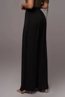 Black Josette Wide-Leg Pleated Pants -Jluxlabel Dress Shop PRODUCT JUL132023 CHIFFON 32