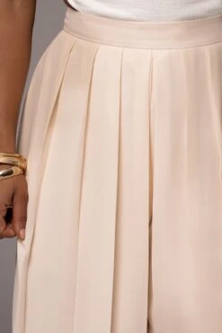 Ivory Josette Wide-Leg Pleated Pants -Jluxlabel Dress Shop PRODUCT JUL132023 CHIFFON 73