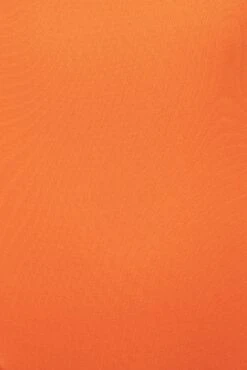 Jluxbasix Tangerine Bethie Scoop Long Sleeve Bodysuit 15 Jluxbasix Tangerine Bethie Scoop Long Sleeve Bodysuit -Jluxlabel Dress Shop PRODUCT SEPT192022 MISSING 47